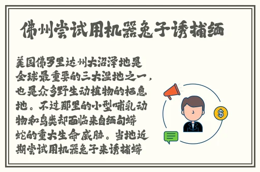 观看在线人视频